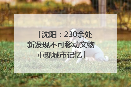 沈阳：230余处新发现不可移动文物重现城市记忆