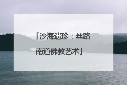 沙海遗珍：丝路南道佛教艺术