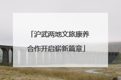 沪武两地文旅康养合作开启崭新篇章