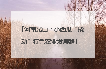 河南光山：小西瓜“撬动”特色农业发展路