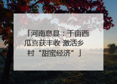 河南息县：千亩西瓜喜获丰收 激活乡村“甜蜜经济”