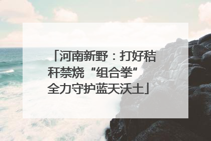 河南新野：打好秸秆禁烧“组合拳” 全力守护蓝天沃土
