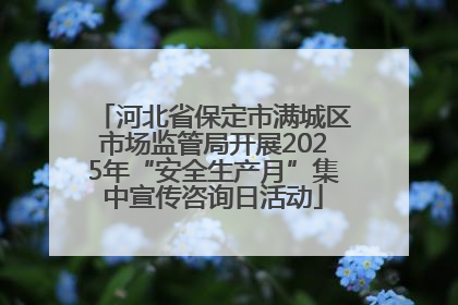 河北省保定市满城区市场监管局开展2025年“安全生产月”集中宣传咨询日活动