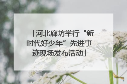 河北廊坊举行“新时代好少年”先进事迹现场发布活动