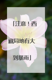 注意！西藏局地有大到暴雨