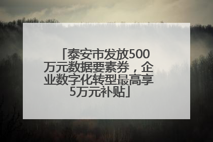 泰安市发放500万元数据要素券，企业数字化转型最高享5万元补贴