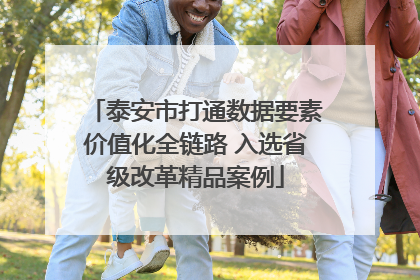 泰安市打通数据要素价值化全链路 入选省级改革精品案例