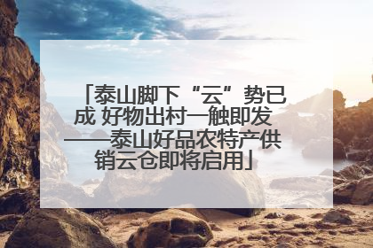 泰山脚下“云”势已成 好物出村一触即发——泰山好品农特产供销云仓即将启用
