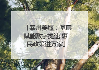 泰州姜堰：基层赋能数字提速 惠民政策进万家