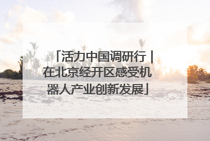 活力中国调研行｜在北京经开区感受机器人产业创新发展