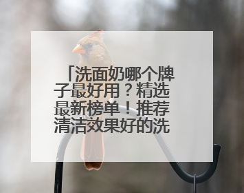 洗面奶哪个牌子最好用？精选最新榜单！推荐清洁效果好的洗面奶