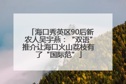 海口秀英区90后新农人吴宇燕：“双语”推介让海口火山荔枝有了“国际范”