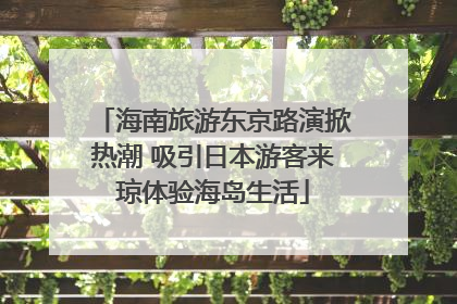 海南旅游东京路演掀热潮 吸引日本游客来琼体验海岛生活