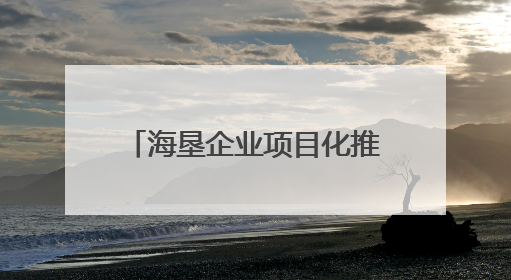 海垦企业项目化推进“两非”专项整改复耕工作 规模化发展特色产业