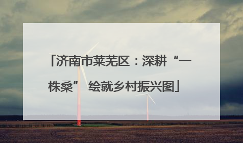 济南市莱芜区：深耕“一株桑” 绘就乡村振兴图