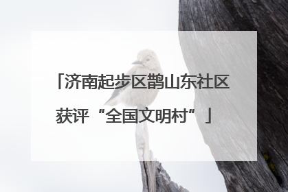 济南起步区鹊山东社区获评“全国文明村”