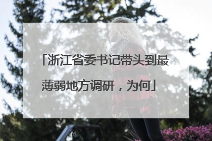 浙江省委书记带头到最薄弱地方调研，为何