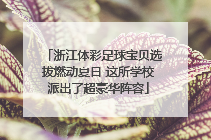 浙江体彩足球宝贝选拔燃动夏日 这所学校派出了超豪华阵容