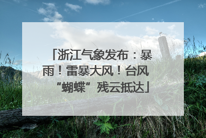 浙江气象发布：暴雨！雷暴大风！台风“蝴蝶”残云抵达