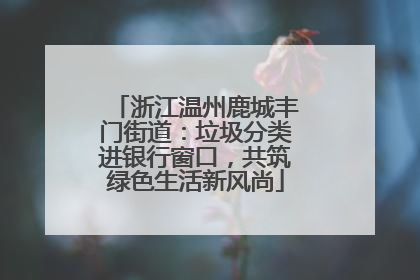 浙江温州鹿城丰门街道：垃圾分类进银行窗口，共筑绿色生活新风尚