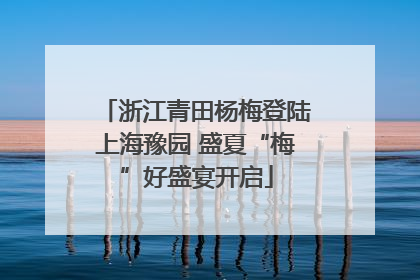 浙江青田杨梅登陆上海豫园 盛夏“梅”好盛宴开启