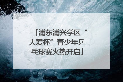 浦东浦兴学区“大爱杯”青少年乒乓球赛火热开启