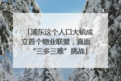 浦东这个人口大镇成立首个物业联盟，直面“三多三难”挑战