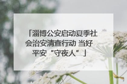 淄博公安启动夏季社会治安清查行动 当好平安“守夜人”