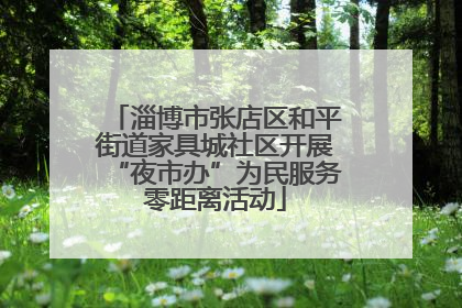 淄博市张店区和平街道家具城社区开展“夜市办”为民服务零距离活动