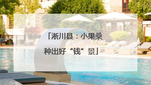 淅川县：小果桑种出好“钱”景
