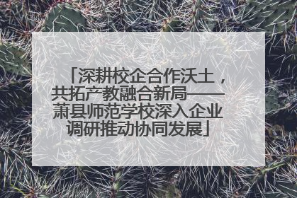 深耕校企合作沃土，共拓产教融合新局——萧县师范学校深入企业调研推动协同发展