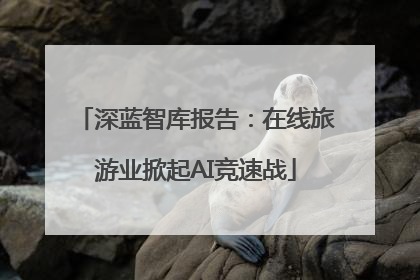深蓝智库报告：在线旅游业掀起AI竞速战