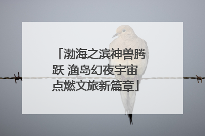 渤海之滨神兽腾跃 渔岛幻夜宇宙点燃文旅新篇章