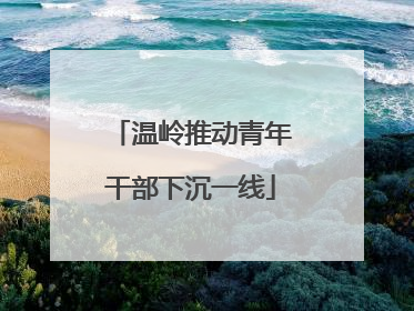温岭推动青年干部下沉一线