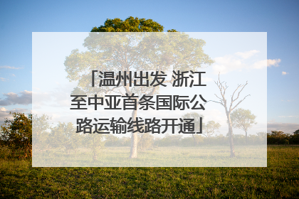 温州出发 浙江至中亚首条国际公路运输线路开通