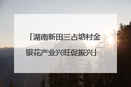 湖南新田三占塘村金银花产业兴旺促振兴