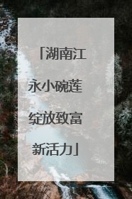 湖南江永小碗莲绽放致富新活力