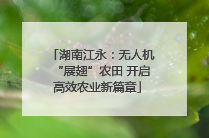湖南江永：无人机“展翅”农田 开启高效农业新篇章