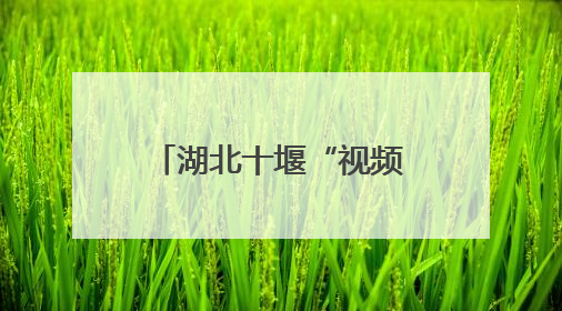 湖北十堰“视频快处”全覆盖 车辆小剐蹭5分钟“云解决”