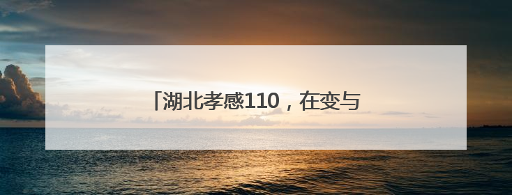 湖北孝感110，在变与不变中守护“万家安宁”