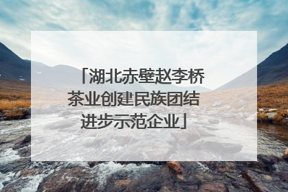 湖北赤壁赵李桥茶业创建民族团结进步示范企业