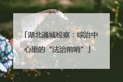 湖北通城检察：综治中心里的“法治前哨”