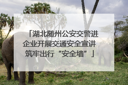 湖北随州公安交警进企业开展交通安全宣讲筑牢出行“安全墙”
