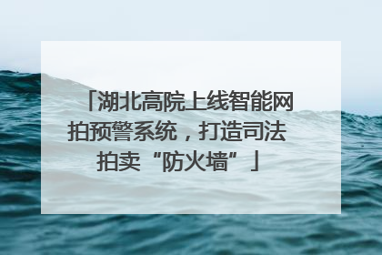 湖北高院上线智能网拍预警系统，打造司法拍卖“防火墙”