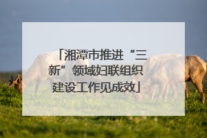 湘潭市推进“三新”领域妇联组织建设工作见成效