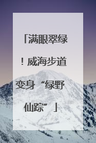 满眼翠绿！威海步道变身“绿野仙踪”