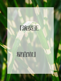 演员王星官宣