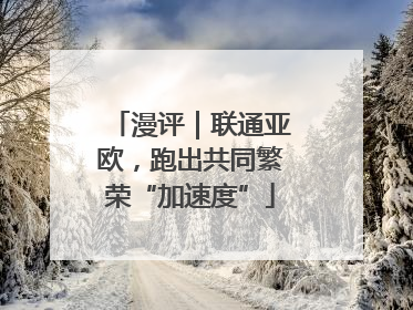 漫评｜联通亚欧，跑出共同繁荣“加速度”