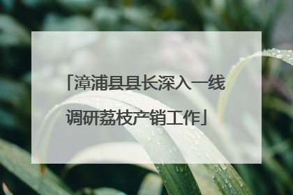 漳浦县县长深入一线调研荔枝产销工作