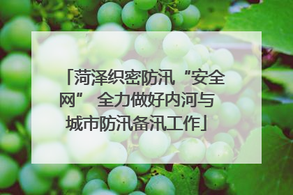 菏泽织密防汛“安全网” 全力做好内河与城市防汛备汛工作